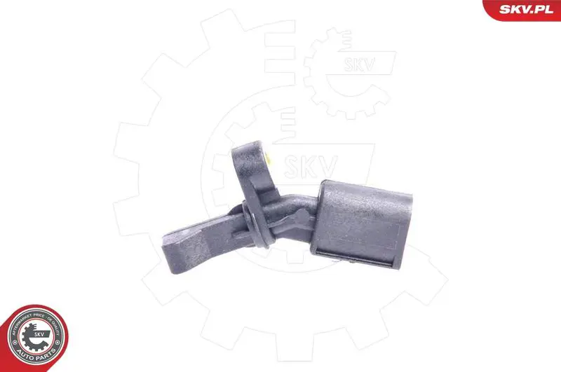 06SKV017 