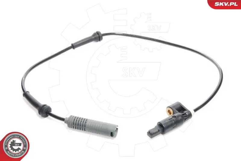 06SKV011 