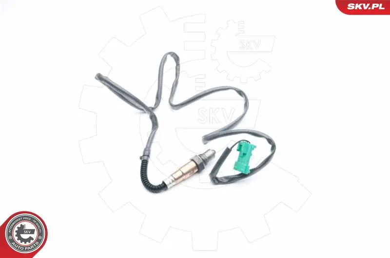 09SKV711 
