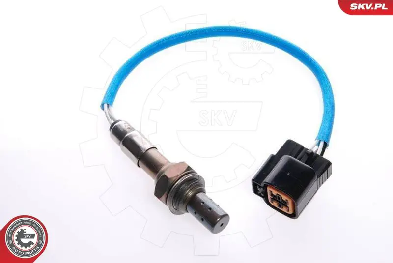 09SKV043 
