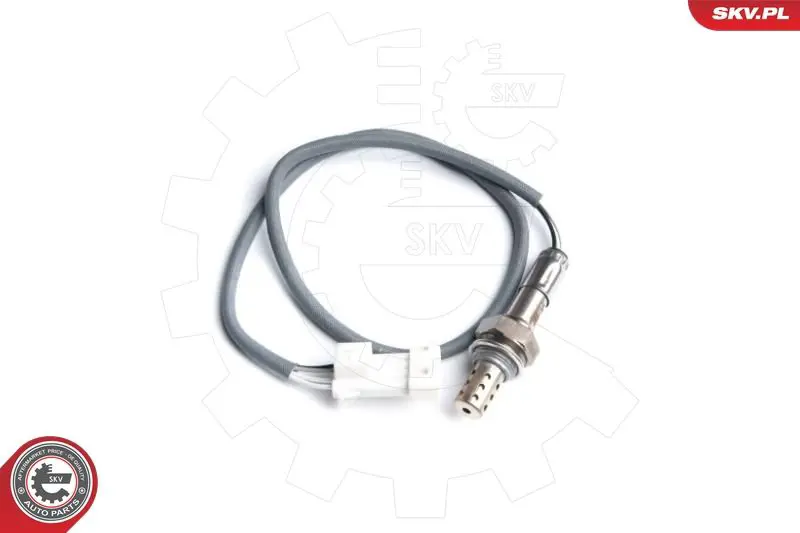 09SKV097 