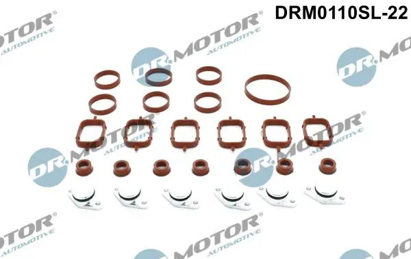 Dr.Motor DRM0110SL22 Ремкомплект, модуль впускного