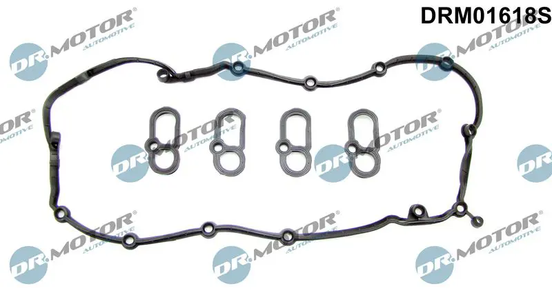 Dr.Motor DRM01618S Комплект прокладок, крышка