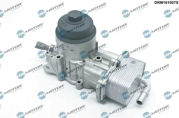 Dr.Motor DRM161007S Корпус, масляный фильтр