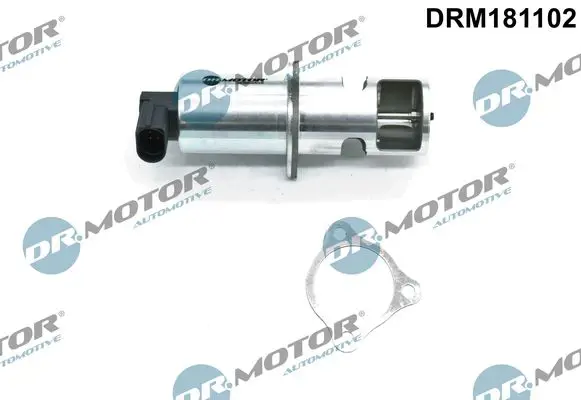 Dr.Motor DRM181102 Клапан возврата ОГ