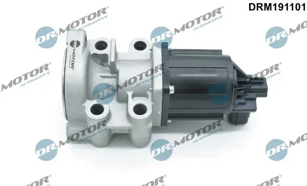 Dr.Motor DRM191101 Клапан возврата ОГ