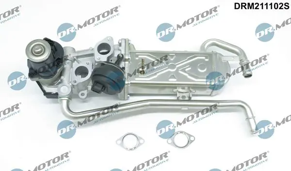 Dr.Motor DRM211102S Клапан возврата ОГ