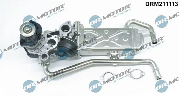 Dr.Motor DRM211113 Клапан возврата ОГ