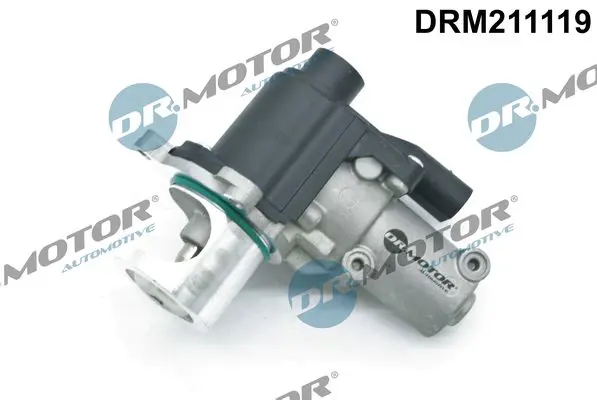 DRM211119 Клапан возврата ОГ