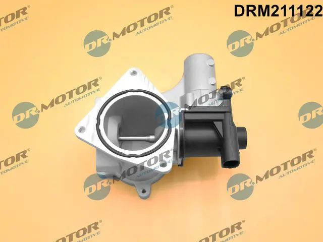DRM211122 Клапан возврата ОГ