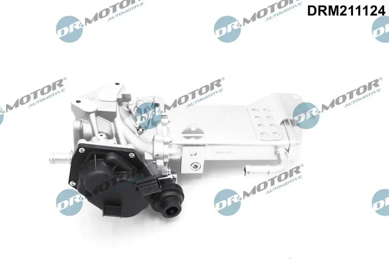 Dr.Motor DRM211124 Клапан возврата ОГ