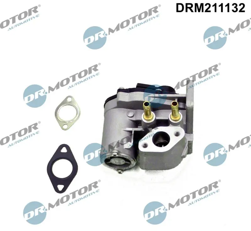 Dr.Motor DRM211132 Клапан возврата ОГ