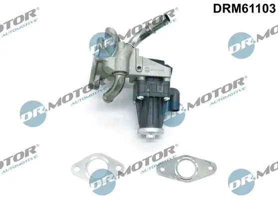 Dr.Motor DRM61103 Клапан возврата ОГ