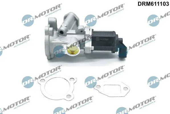 Dr.Motor DRM611103 Клапан возврата ОГ
