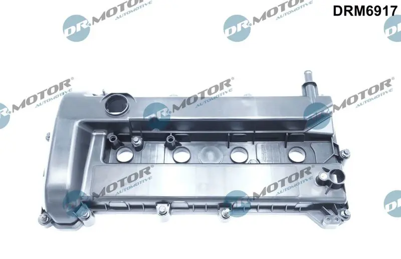 Dr.Motor DRM6917 Крышка головки цилиндра