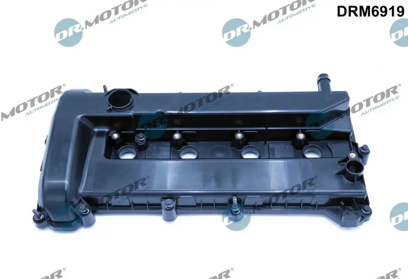 Dr.Motor DRM6919 Крышка головки цилиндра