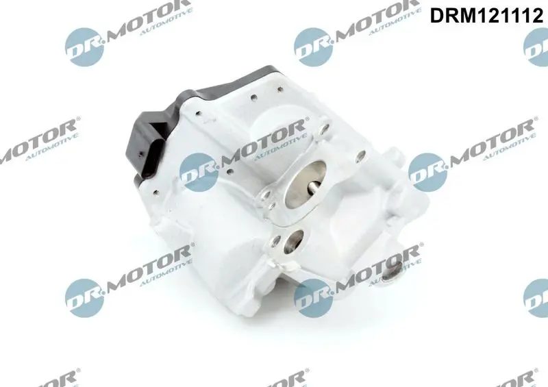 Dr.Motor DRM121112 Клапан возврата ОГ