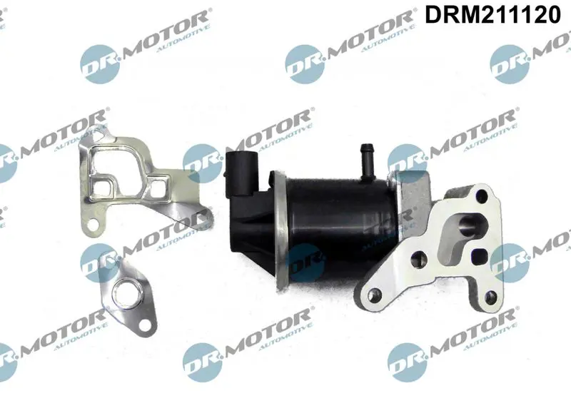 DRM211120 Клапан возврата ОГ