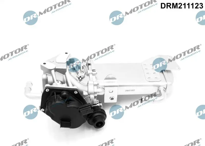 Dr.Motor DRM211123 Клапан возврата ОГ