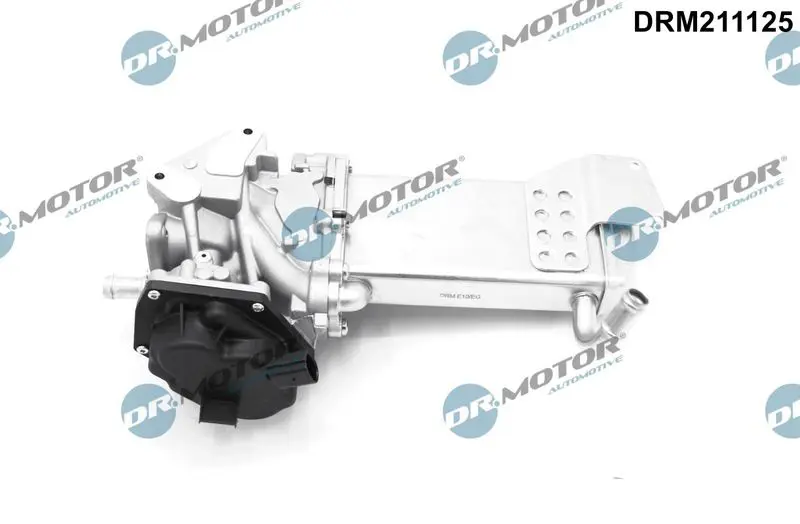 Dr.Motor DRM211125 Клапан возврата ОГ