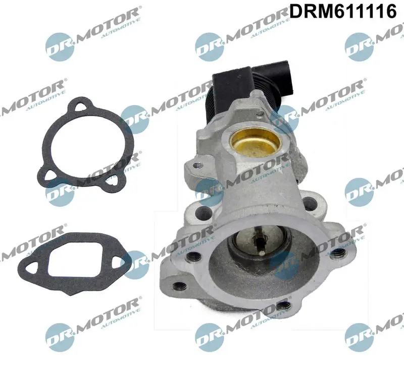 Dr.Motor DRM611116 Клапан возврата ОГ