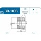 IJS GROUP 301003