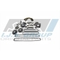 401265FK IJS GROUP Timing Chain Kit