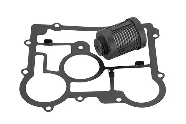 BORGWARNER DS2006273 Фильтр муфты 4x4 Opel Insignia