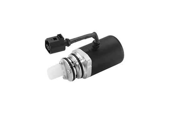 BORGWARNER DS118611 Насос, полный привод с