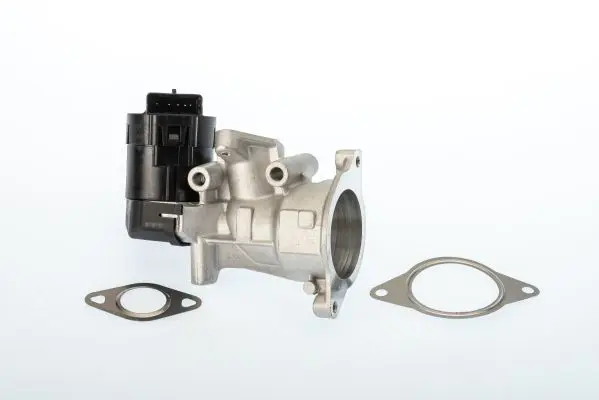 BorgWarner 710926D EGR Valve