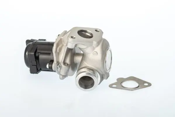 BorgWarner 711021D EGR Valve