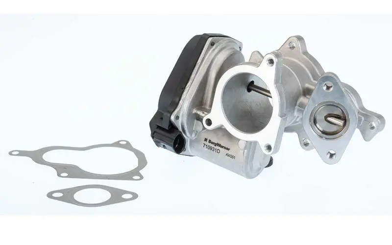 BorgWarner 710931D EGR Valve