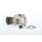 711021D EGR Valve