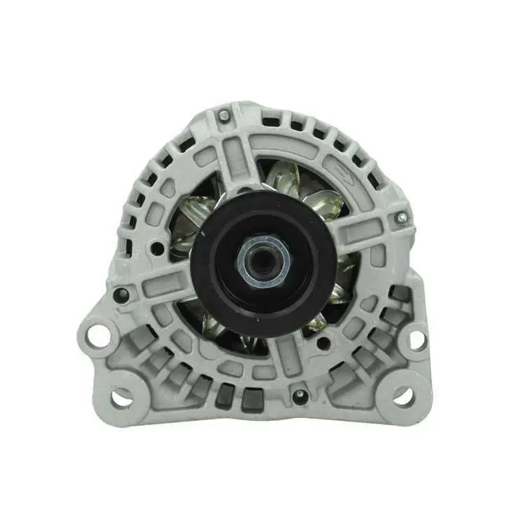 BV PSH 305517090010 Генератор