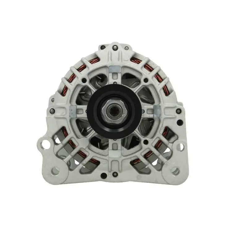 BV PSH 305560070000 Генератор