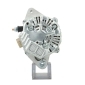 BV PSH 195540060050