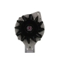 BV PSH 135804070080