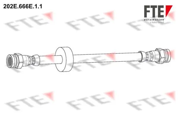 202E666E11 