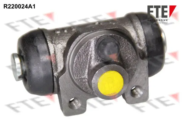 R220024A1 