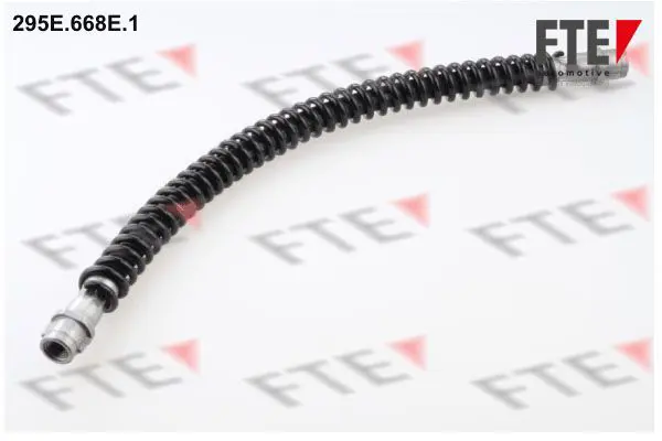 295E668E1 