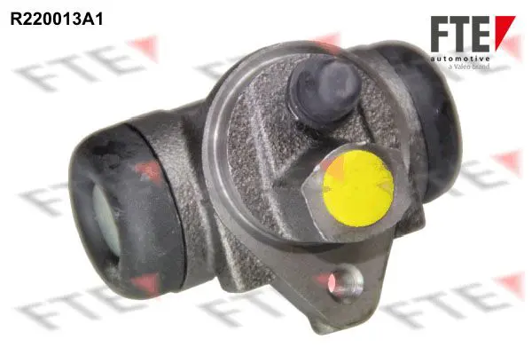 R220013A1 