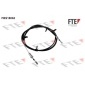 FBS18062 