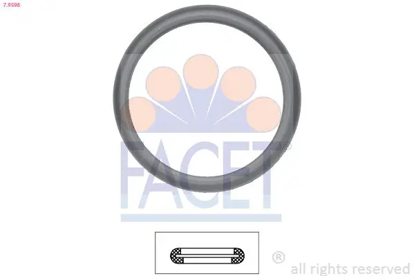 FACET 79598 Прокладкa