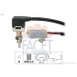 FACET 71289