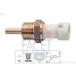 FACET 73335