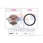 FACET 78304