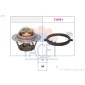 FACET 77972