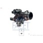 FACET 78874