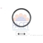 FACET 79583