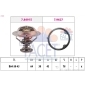 FACET 78491